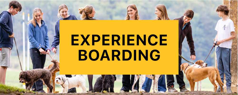 Experience Boarding